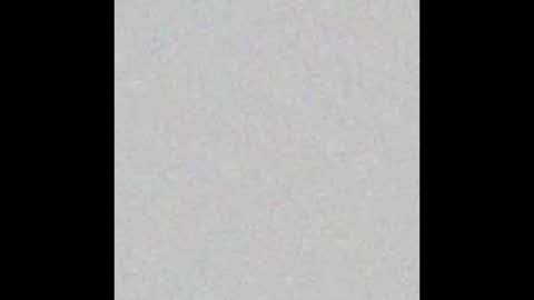 _maccaa_ online show from January 2026 12:21:02 PM