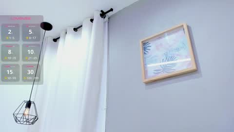   online show from January 2025 03:06:01 PM