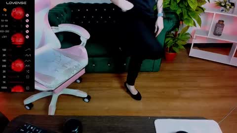 Rein online show from March 2025 12:09:02 PM