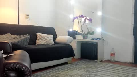 sair online show from October 2025 04:03:02 AM