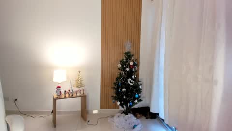 Sam   --- next stream 1 dic  food and vino show . online show from December 2024 09:08:02 PM