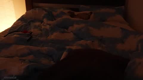 Lia online show from September 2025 06:07:01 PM