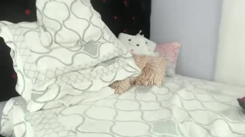 Alexa online show from January 2025 06:50:01 PM