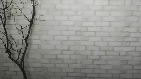 Rachel online show from December 2024 01:27:02 PM