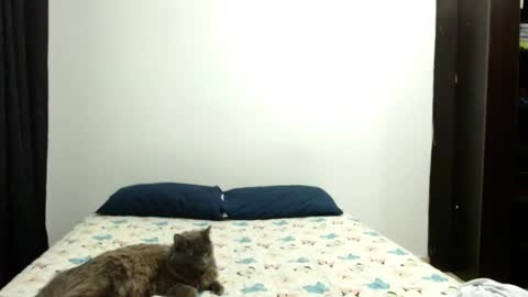 Sofia Parker online show from October 2025 04:37:01 PM