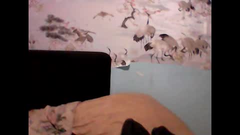 _sollar777 online show from January 2025 01:06:01 AM