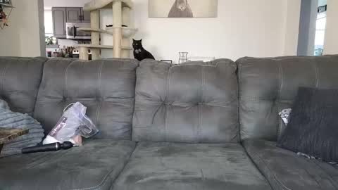 Snapshot of _sophia_grace_ chatting on November 2025 05:13:01 PM SophiaGraceKnight online show from November 2025 05:13:01 PM