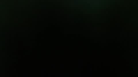  taisha online show from January 2025 11:34:01 AM