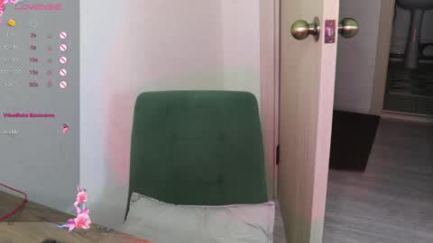 Snapshot of _viv1an_ chatting on January 2025 08:09:02 AM Alis online show from January 2025 08:09:02 AM