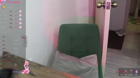 Snapshot of _viv1an_ chatting on February 2025 12:47:01 PM Alis online show from February 2025 12:47:01 PM