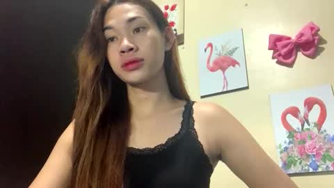 sheng online show from April 2026 10:24:01 AM