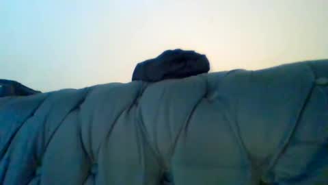 Zawadi online show from February 2025 05:47:02 PM