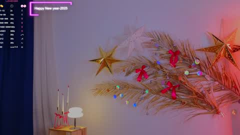 Snapshot of a1ly chatting on December 2024 08:23:02 PM Ally online show from December 2024 08:23:02 PM