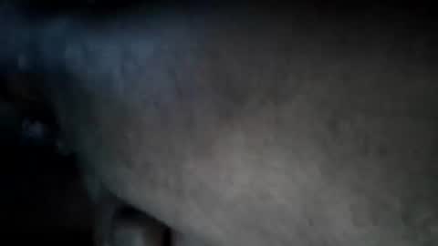 A2Please online show from September 2025 02:06:02 PM