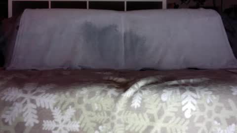 a_nice_dick_77 online show from December 2025 05:20:02 PM