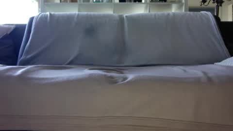 a_nice_dick_77 online show from April 2026 07:31:01 AM