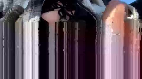 a_rae93 online show from October 2025 04:19:01 PM