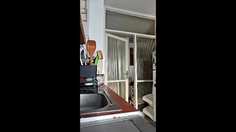 abbel_stone online show from March 2026 03:51:02 PM