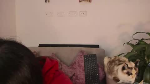 Abbey  IG abby allenn  04 December Online at  I will be on vacation dont forget me  See you soon   online show from March 2025 11:38:02 PM