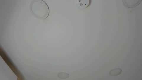 A B B Y online show from November 2025 12:20:01 PM