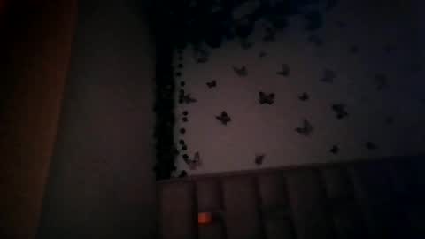 abby_moss_2 online show from July 2026 12:51:01 PM