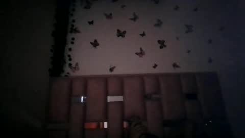abby_moss_2 online show from July 2026 01:08:02 PM