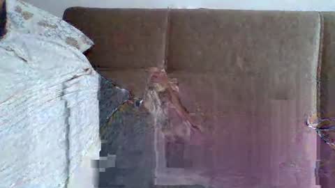 Snapshot of abdil_34 chatting on February 2025 09:18:02 PM abdil_34 online show from February 2025 09:18:02 PM