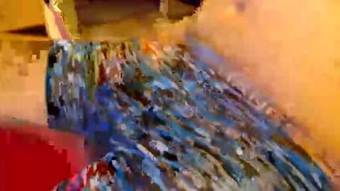 abigspermdonor online show from January 2026 01:11:01 AM