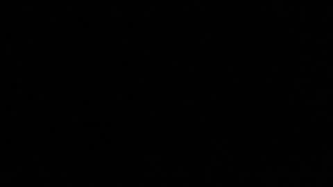 Abril online show from June 2026 06:52:02 AM