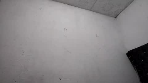 Ace Rogger online show from December 2024 12:13:01 AM