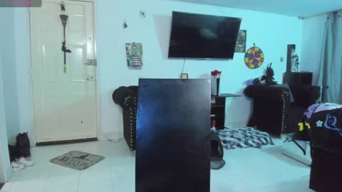 Snapshot of acid_alice666 chatting on January 2025 01:10:01 AM Alice online show from January 2025 01:10:01 AM