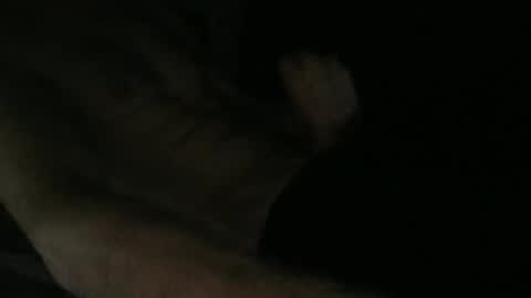 acid_lab online show from November 2025 11:43:01 PM