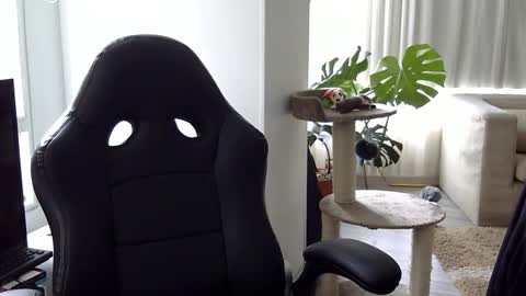 adam_evehotroom online show from October 2025 08:20:02 PM