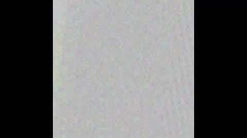 Snapshot of adamaria_1 chatting on October 2025 02:31:01 AM ADA online show from October 2025 02:31:01 AM