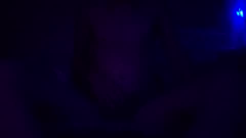 Snapshot of adamllamas chatting on December 2024 05:48:01 AM adamllamas online show from December 2024 05:48:01 AM