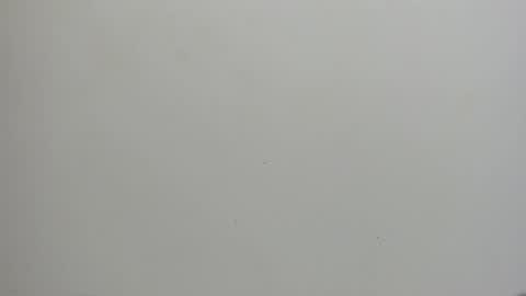 adbel sady online show from January 2025 11:10:02 AM