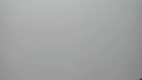 adbel sady online show from February 2025 11:15:01 AM