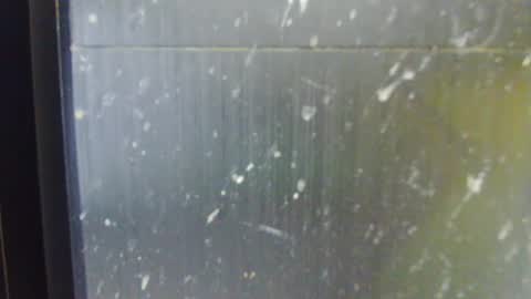 adiraxo online show from October 2025 01:22:01 PM