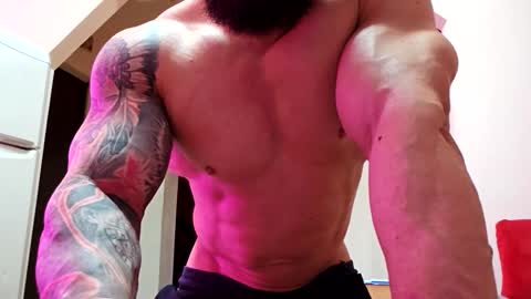 Adonis online show from September 2025 09:20:02 AM