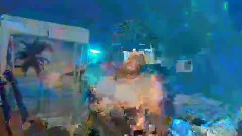Snapshot of adoniswoody chatting on December 2024 12:32:02 AM Adonis XDDDDDDDD Woody online show from December 2024 12:32:02 AM