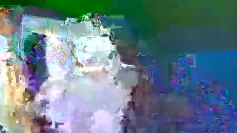 Snapshot of adoniswoody chatting on September 2025 02:54:02 AM Adonis XDDDDDDDD Woody online show from September 2025 02:54:02 AM
