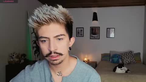      online show from November 2025 03:56:02 PM