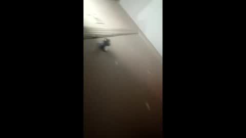 afnuke000 online show from March 2026 09:15:01 AM