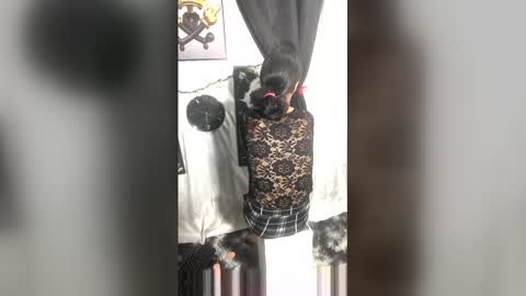 afroluz online show from April 2026 02:20:01 AM