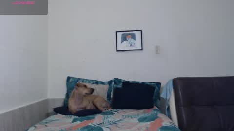 Agatha online show from March 2026 03:20:01 AM