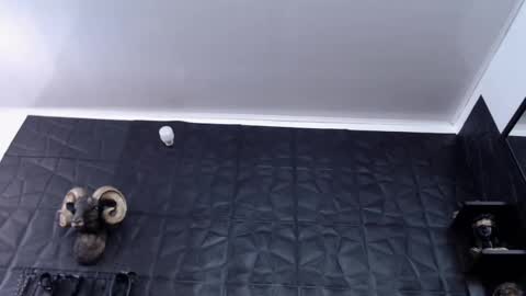  Miss Agata  online show from February 2025 06:31:01 PM