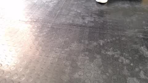  Miss Agata  online show from December 2025 06:57:02 PM