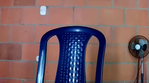 aisha koswell3 online show from January 2026 02:11:01 PM