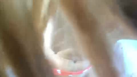 aisha_violeht online show from February 2026 02:37:02 PM