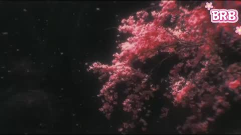 Liza online show from April 2026 07:41:01 PM